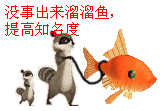 没事出来溜溜鱼.png