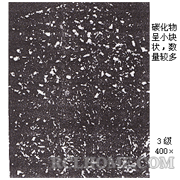 碳化物-02（齿坯未正火）.png