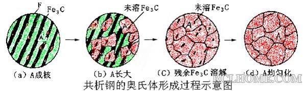 奥氏体化进程.jpg