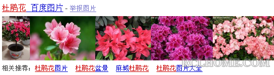 QQ截图20140307181720.png