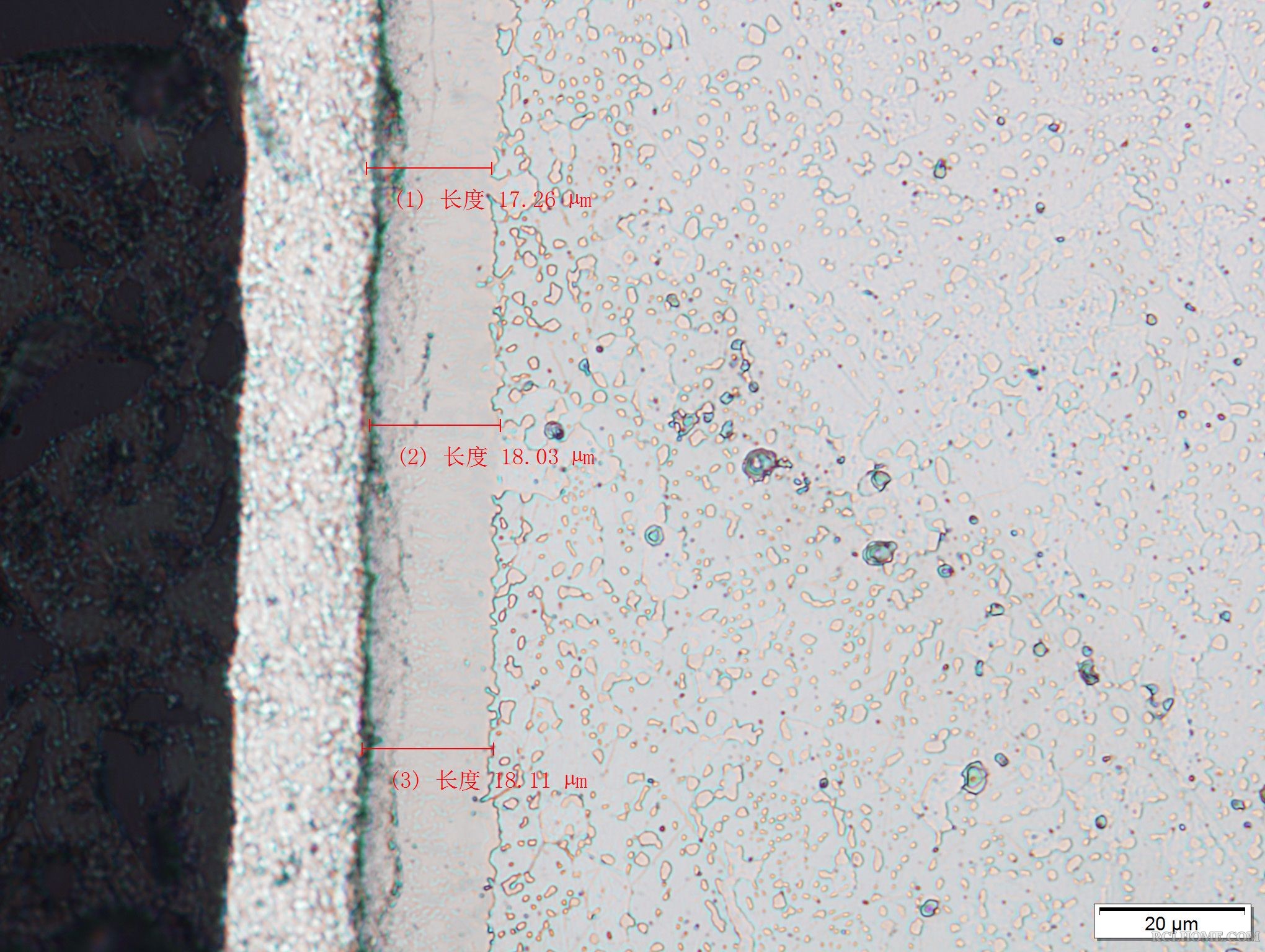 65Mn570℃×8h软氮化-01（500×）.JPG